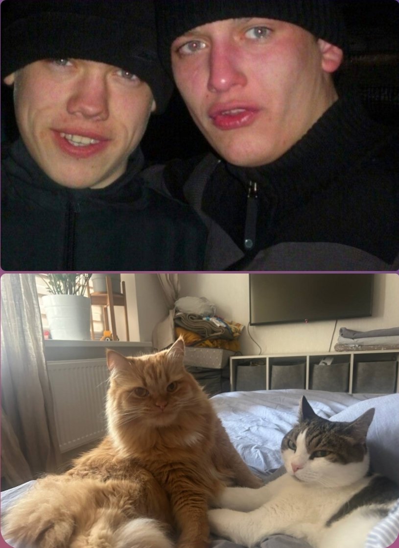 Rrrustle's tweet photo. Подруга хотела поделиться обстановкой в доме, но случайно скинула две одинаковые картинки https://t.co/ipFA0509P5