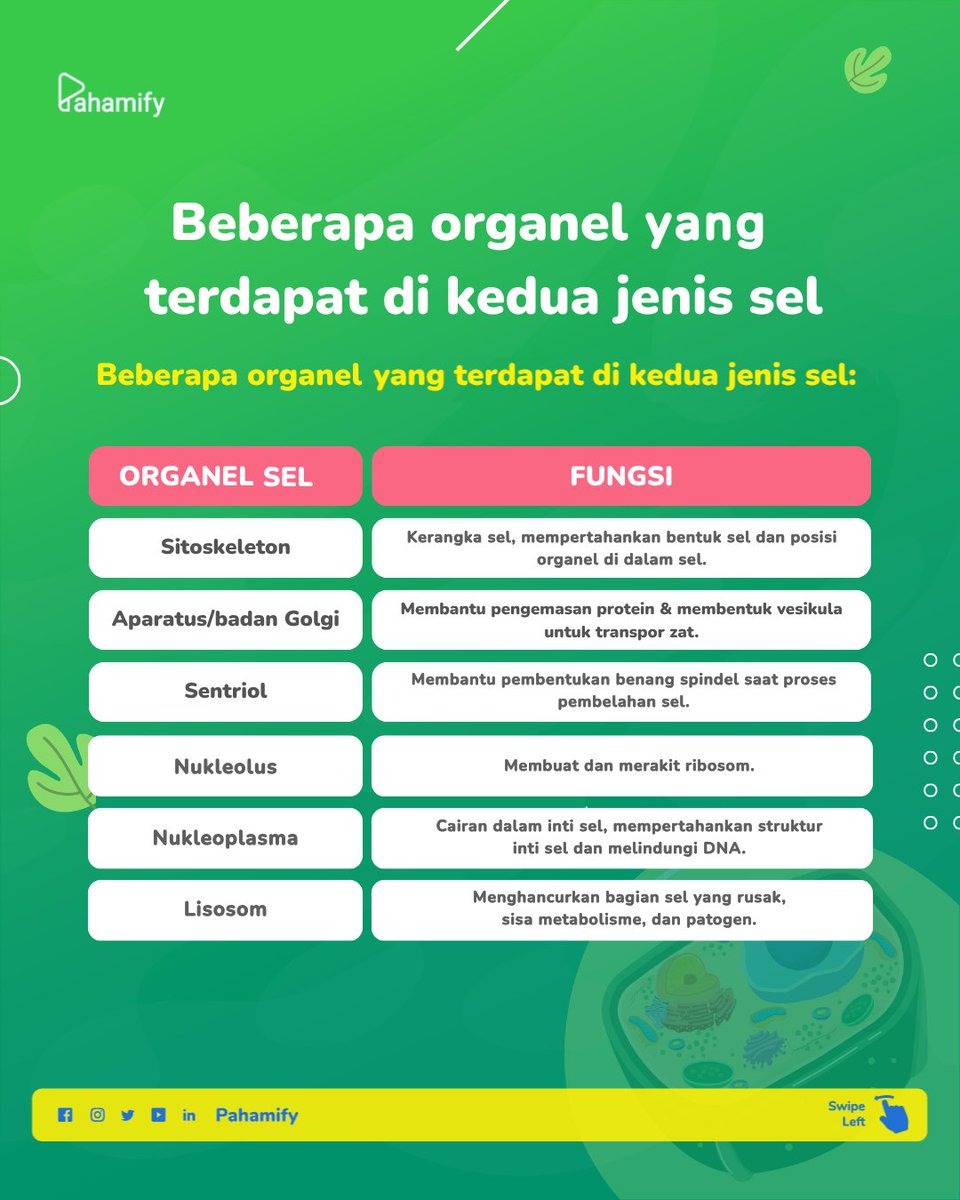 Pahamify | TO + Live Class UTBK & Ujian Mandiri tweet media
