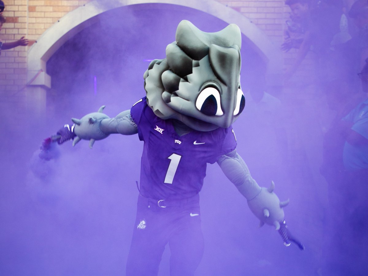 TCU's tweet photo. No aura like SuperFrog's. Happy National Mascot Day to the best😎 
#GoFrogs https://t.co/Ii8XL1PFe7