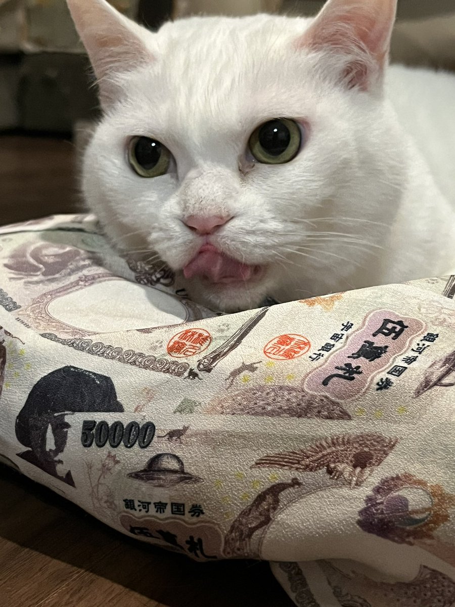 Roma__nee's tweet photo. 💴\伍萬札御満悦/💴 https://t.co/C4IijLb6gd