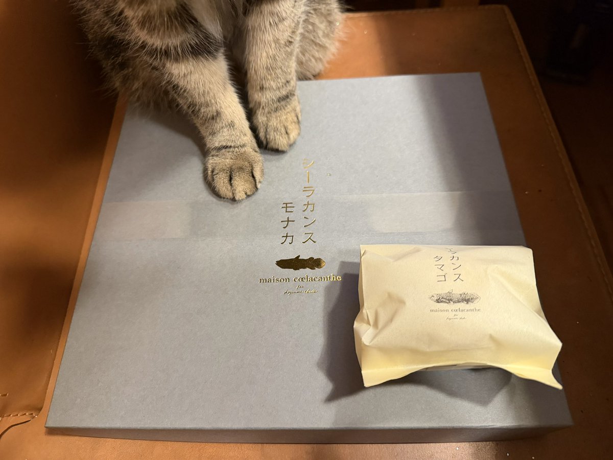 tomos53's tweet photo. 出張で仙台に行って来ました🚅
去年、倫也くんの大千穐楽前に食べた牛タンが忘れられず善治郎へ😋
めっちゃ美味しかった〜‼️
大好きなシーラカンスモナカも！
シーラカンスタマゴも買ってみた。
パイ生地の中にバターと餡子がずっしり… 悪魔の食べ物でした🤤
舞台の解禁まだかなぁ… https://t.co/en3v2FOWCp