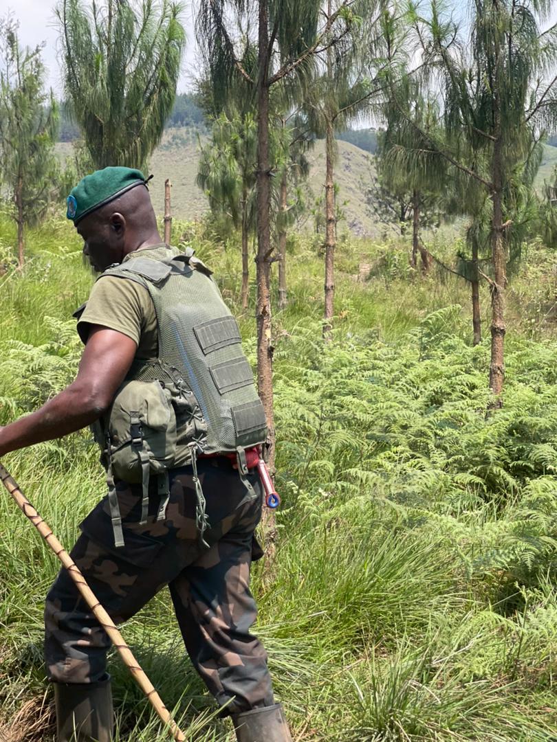 JohnNgombua1's tweet photo. FIZI / HAUTS-PLATEAUX DE #MINEMBWE : Les #FARDC progressent vers la pacification totale de la zone
âDepuis la soirĂ©e du mardi 16 juin 2026, les Forces ArmĂ©es de la RĂ©publique DĂ©mocratique du Congo (FARDC) ont repris le contrĂŽle total du village de #KITAVI, de l'agglomĂ©ration d'#IRUNDU, ainsi que des positions de l'Ă©cole UGEAFI situĂ©es Ă #MADEGU, aux abords du centre de Minembwe. Ce succĂšs militaire fait suite Ă une riposte vigoureuse contre les attaques menĂ©es par lâarmĂ©e rwandaise et ses alliĂ©s rebelles du M23, Twirwaneho et Red Tabara.
âUne avancĂ©e stratĂ©gique majeure : GrĂące Ă la reprise de ces quatre positions clĂ©s, les forces loyalistes se rapprochent dĂ©sormais de Minembwe-centre afin de porter assistance Ă la population locale.
âEn rĂ©action Ă cette progression, des drones en provenance du Rwanda ont Ă©tĂ© dĂ©ployĂ©s tĂŽt ce mercredi matin pour bombarder lâHĂŽpital GĂ©nĂ©ral de Minembwe ainsi que plusieurs habitations civiles. En rĂ©ponse, lâarmĂ©e congolaise a lancĂ© une contre-offensive ce mercredi 17 juin pour reprendre le contrĂŽle de lâaĂ©rodrome de Minembwe-centre.
âAppels Ă l'aide de la population et crimes de guerre
âSelon les tĂ©moignages recueillis Ă lâentrĂ©e de la citĂ© de MADEGU, la population continue de solliciter une intervention rapide des FARDC. Les civils se trouvent dans une insĂ©curitĂ© critique face aux massacres et assassinats ciblĂ©s perpĂ©trĂ©s par lâarmĂ©e rwandaise et ses supplĂ©tifs dans la nuit du mardi 16 au mercredi 17 juin. Ces derniers s'en prennent particuliĂšrement Ă la communautĂ© Banyamulenge, qu'ils accusent de collaborer avec lâarmĂ©e rĂ©publicaine pour dĂ©voiler leurs positions.
Déclaration du Commandement :
Le Commandant des OpĂ©rations Sukola 2 Sud Sud-Kivu, le Colonel d'Ătat-Major APOKO BANGALA Michel, assure que ces appels de dĂ©tresse ont Ă©tĂ© pleinement pris en compte. Il annonce la poursuite intensive des opĂ©rations militaires pour rĂ©tablir lâautoritĂ© de lâĂtat et sĂ©curiser les populations meurtries. Enfin, le commandement prend Ă tĂ©moin les communautĂ©s nationale et internationale face aux crimes flagrants et aux dĂ©gĂąts matĂ©riels majeurs causĂ©s par lâarmĂ©e rwandaise sur le sol congolais.
âFIN
âSLt MBUYI KALONJI Reagan
Porte-Parole des Opérations Sukola 2 Sud Sud-Kivu
