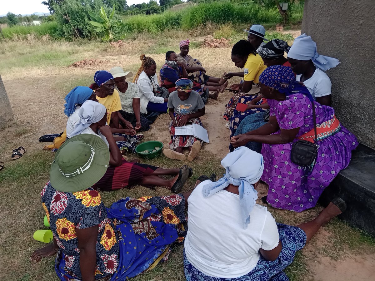 dapp_zimbabwe's tweet photo. DAPP Farmers’ Clubs is a humble model designed to complement the Government’ s efforts in transforming subsistence farming into Agri- business for rural economic growth. For interesting developments on Farmers' Clubs across Zimbabwe visit our website https://t.co/IfavWU7Udp https://t.co/FzrubLigDM