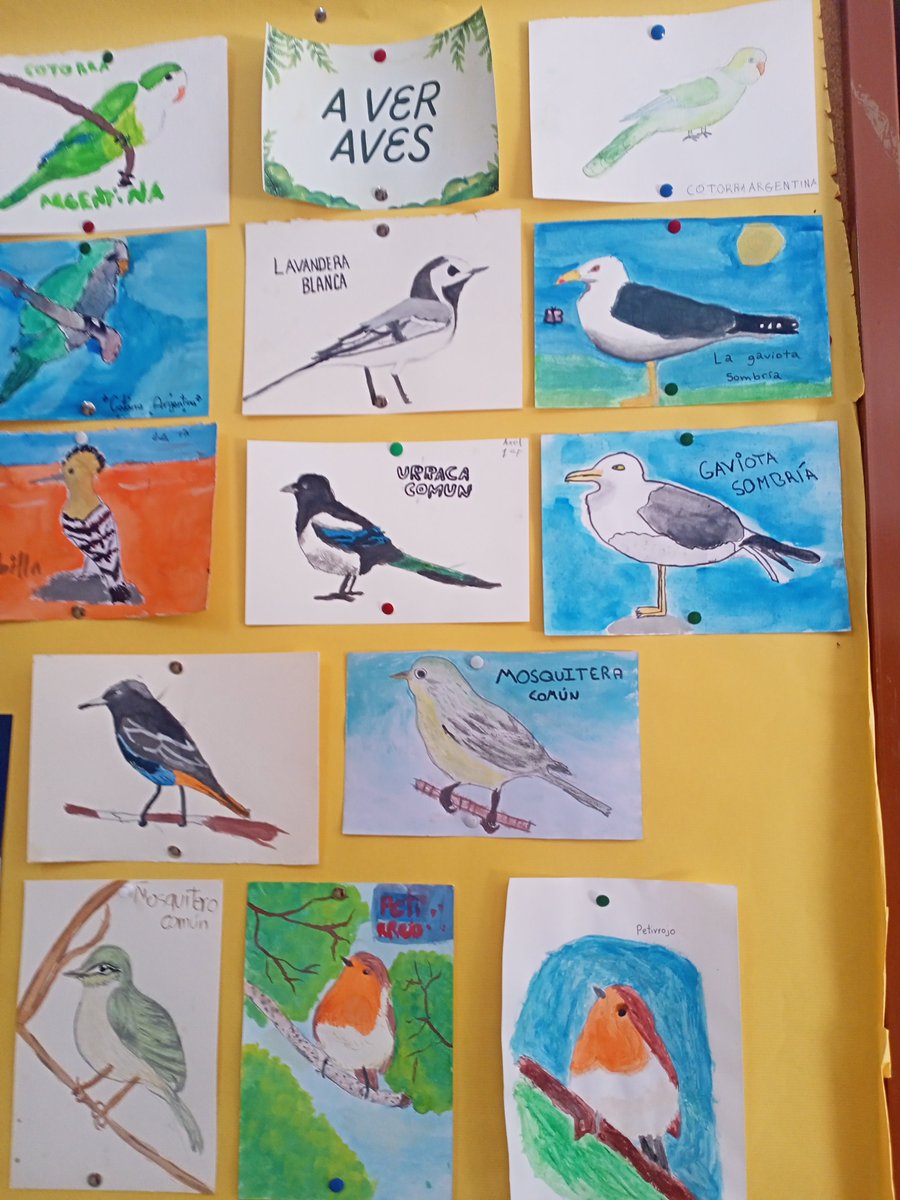 ies_pradolongo's tweet photo. @AverAves todo lo que hemos aprendido con ustedes!!! ❤️🦉🕊️🐦 
@jmd_usera Mirad qué dibujos tan bonitos ha hecho nuestro alumnado. Y muchos más, que se pueden ver en Instagram. https://t.co/EHk8RLKMA1