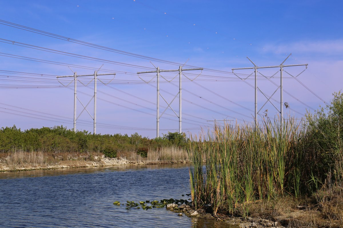 ServiceElecCo tweet picture