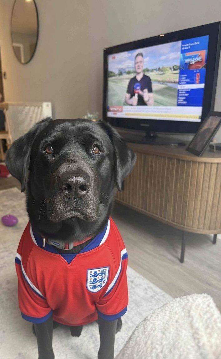 emboon2's tweet photo. #ssnthreelions https://t.co/F2MZKPi1jY