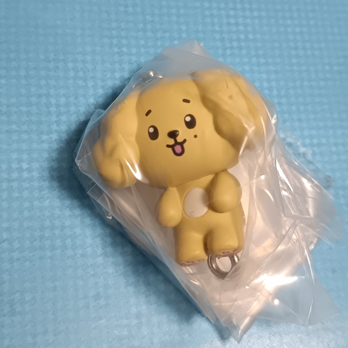 K② tweet media