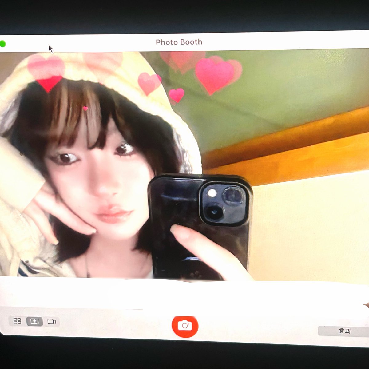 nnozzo 노쪼 tweet media