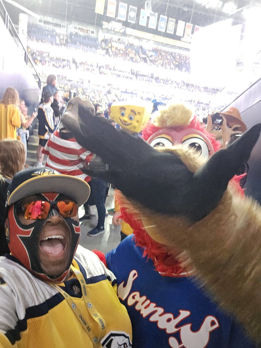 PredsFanGamer's tweet photo. Happy #NationalMascotDay to all Tennessee mascots, especially to the legendary soccer champ @Tempo_NSC ! https://t.co/XAVKpRNEJj