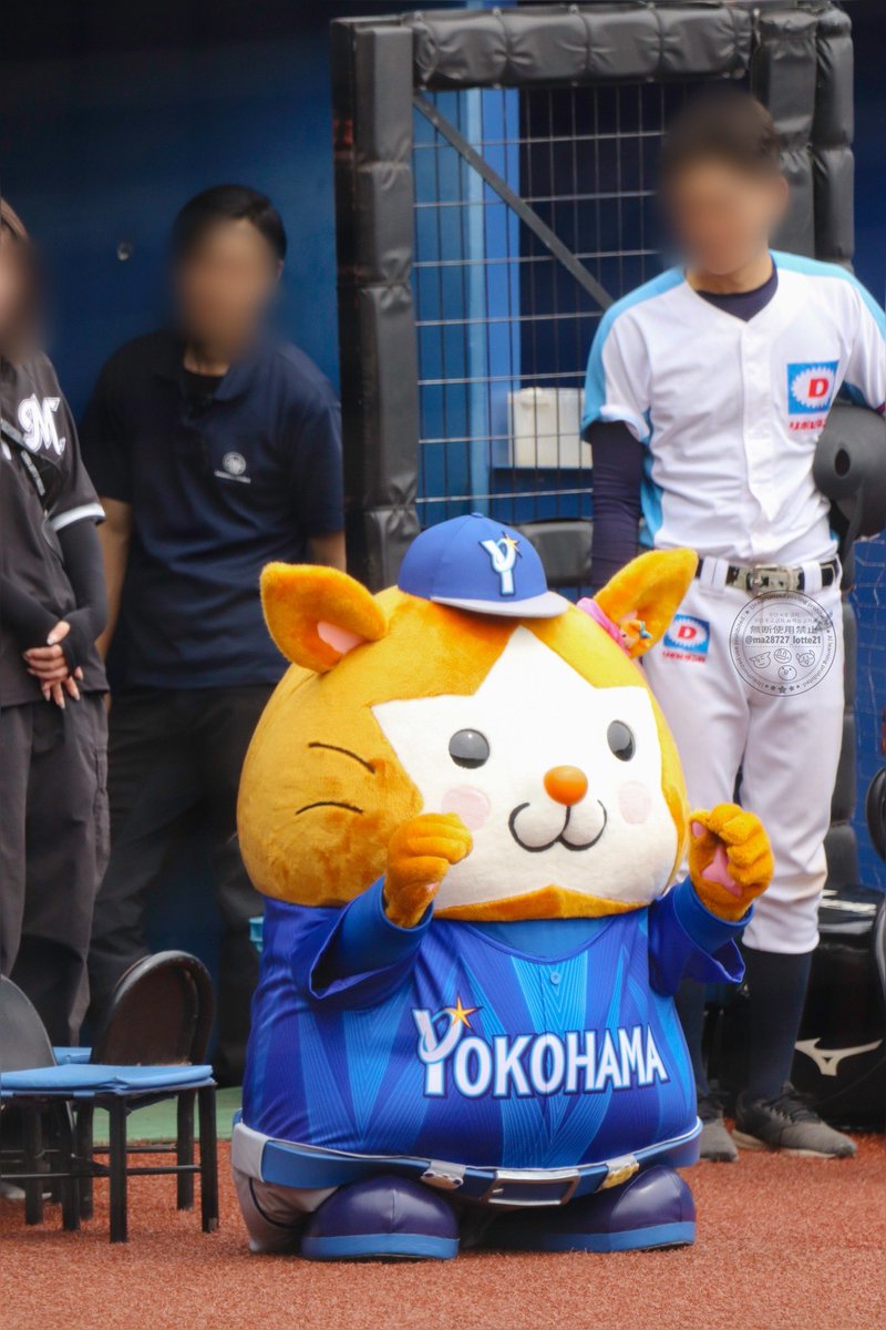 ma28727ma2np1uk's tweet photo. 🐹「つかれたから椅子出して腰掛けますかね…」
(ゆっくり座ったところ、椅子がなく地面に着尻）

🐹「ちょっと、あーた！椅子ずらしたでしょ！」
🙆‍♂️「いや最初からズレてたって〜！」
↑スタッフさんがニヤニヤで椅子どかしてた https://t.co/Y70OlubkuK