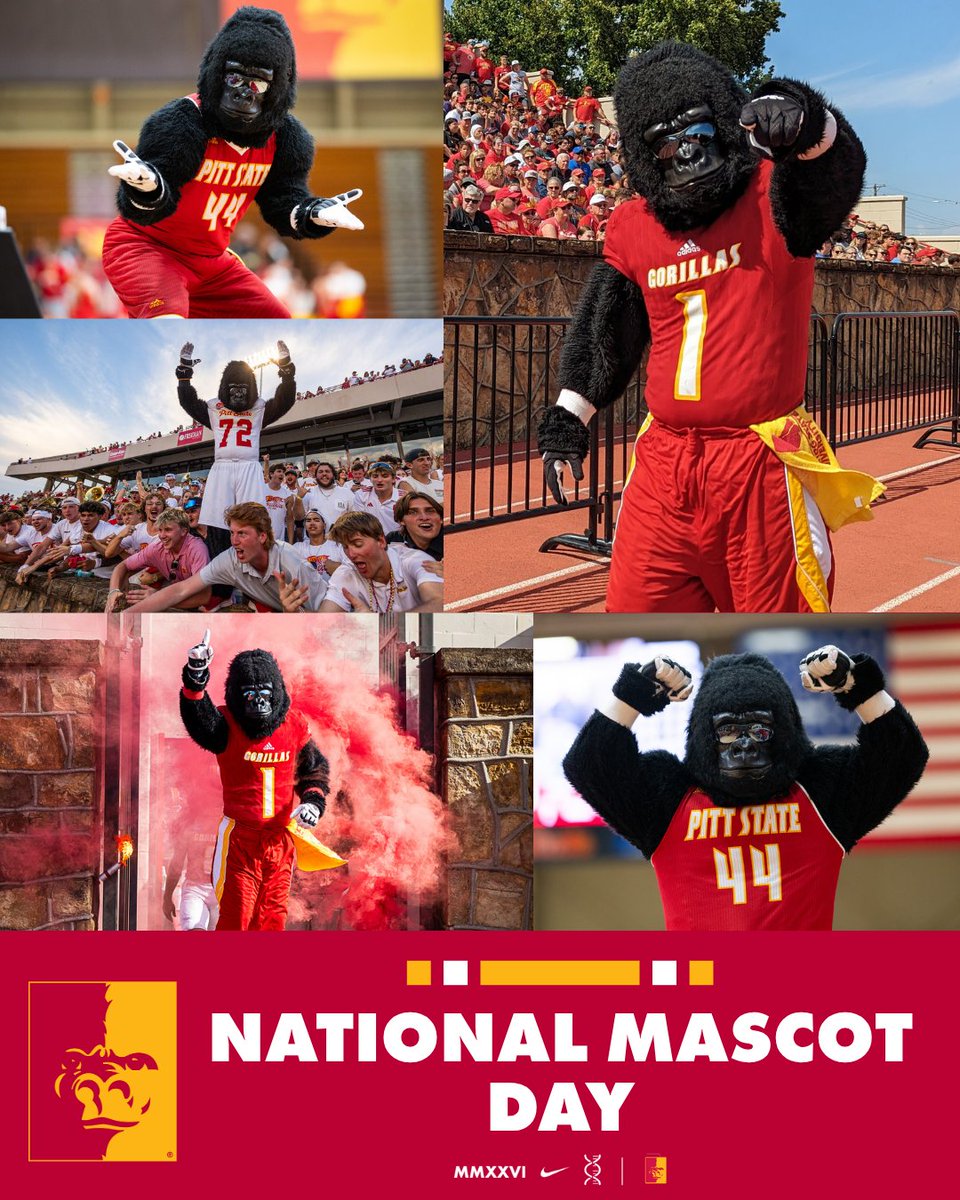 PittStGorillas tweet picture