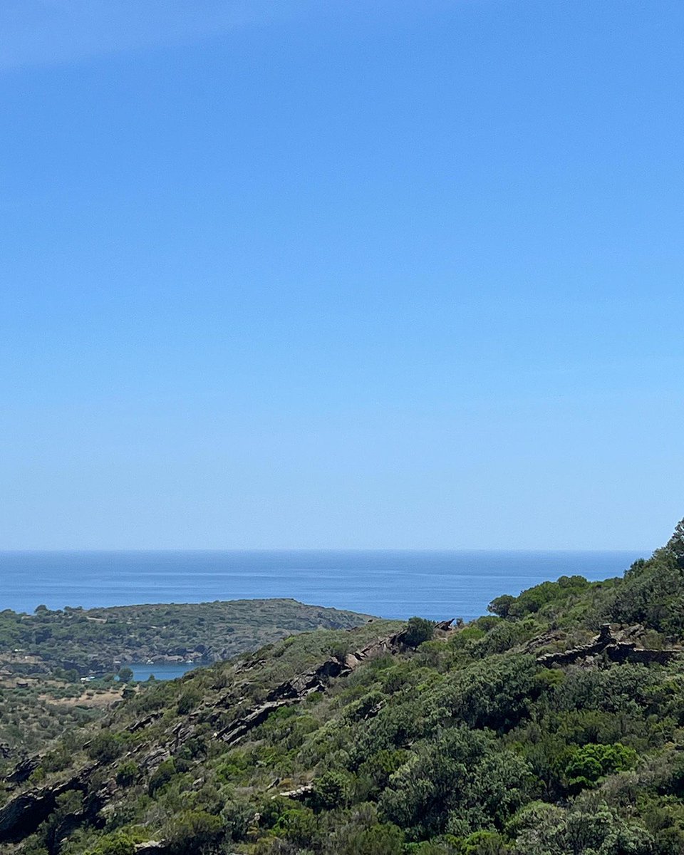 XavierSoms1's tweet photo. 🌿 EN VENDA · Finca rústica a Cadaqués

📍 Mas Duran
📐 ~8.700 m² (4 vessanes)
🫒 Oliveres
🏚️ Barraca de 15 m²

Una oportunitat única en un dels entorns més emblemàtics de la Costa Brava 🌊
💶 350.000 €
📩 DM per a més informació o visita

#Cadaques #CostaBrava #FincaRustica https://t.co/WfqOzZAl2H