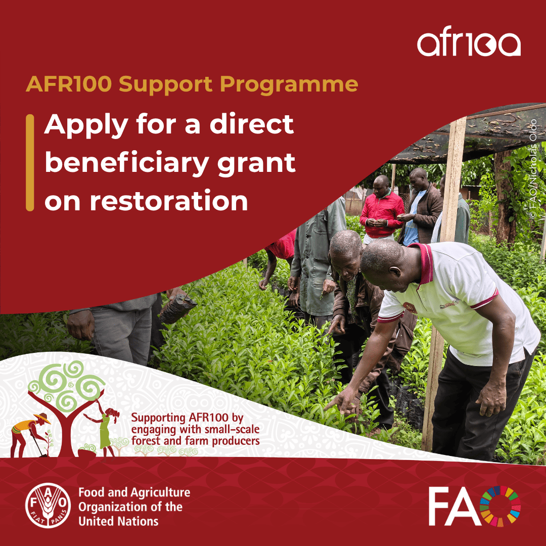 FAOForestry's tweet photo. 🌱 Last days to apply for direct beneficiary grants on restoration under the @FAO #AFR100 Support Programme for landscapes in Democratic Republic of the Congo, Kenya, Togo &amp; Tanzania.

More info and apply 👉 https://t.co/UbyeoBX7yZ

#GenerationRestoration @FAOAfrica https://t.co/WV7RaT7YNE