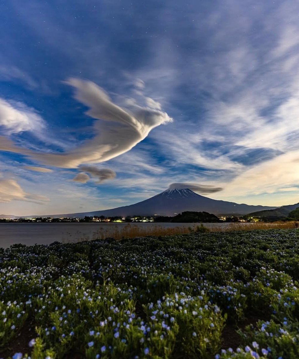 BiancoDavinci's tweet photo. A cloud that looked just like a giant phoenix rising into the sky over Mount Fuji. pic by kenken710 https://t.co/Pr8Q8VOoZi