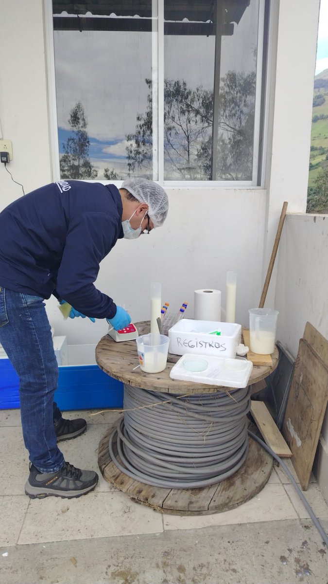 AgrocalidadEC's tweet photo. #Chimborazo | 🔎 Realizamos operativo interinstitucional, en la parroquia Químiag del cantón Riobamba, se analizaron 6.400 litros de leche cruda y se decomisaron 700 litros no aptos para el consumo humano.
#ProtegemosLoQueConsumes ✅ https://t.co/7Na5WtlwZY