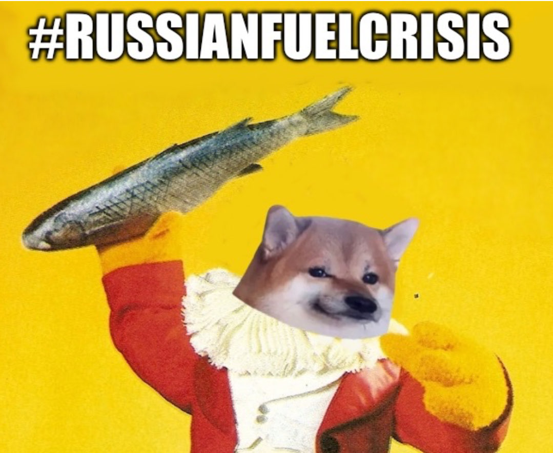 Cumbrian NAFO Fella🇺🇦🦈🇬🇪🇨🇦Main Bastard tweet media