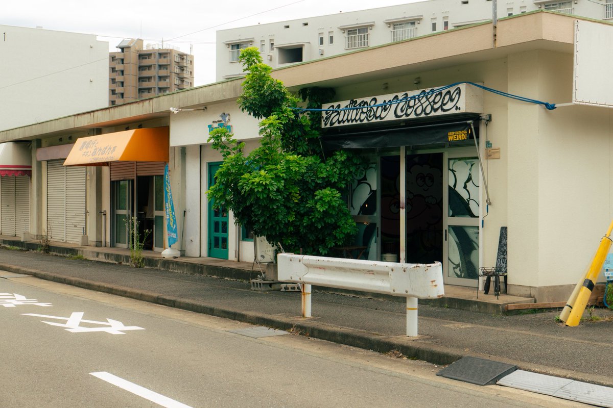 lele8071's tweet photo. 写真なかなか撮りに行けないから出先でスナップ📷

#写真好きな人と繋がりたい
#DLUX8 https://t.co/9mATPLAnpn