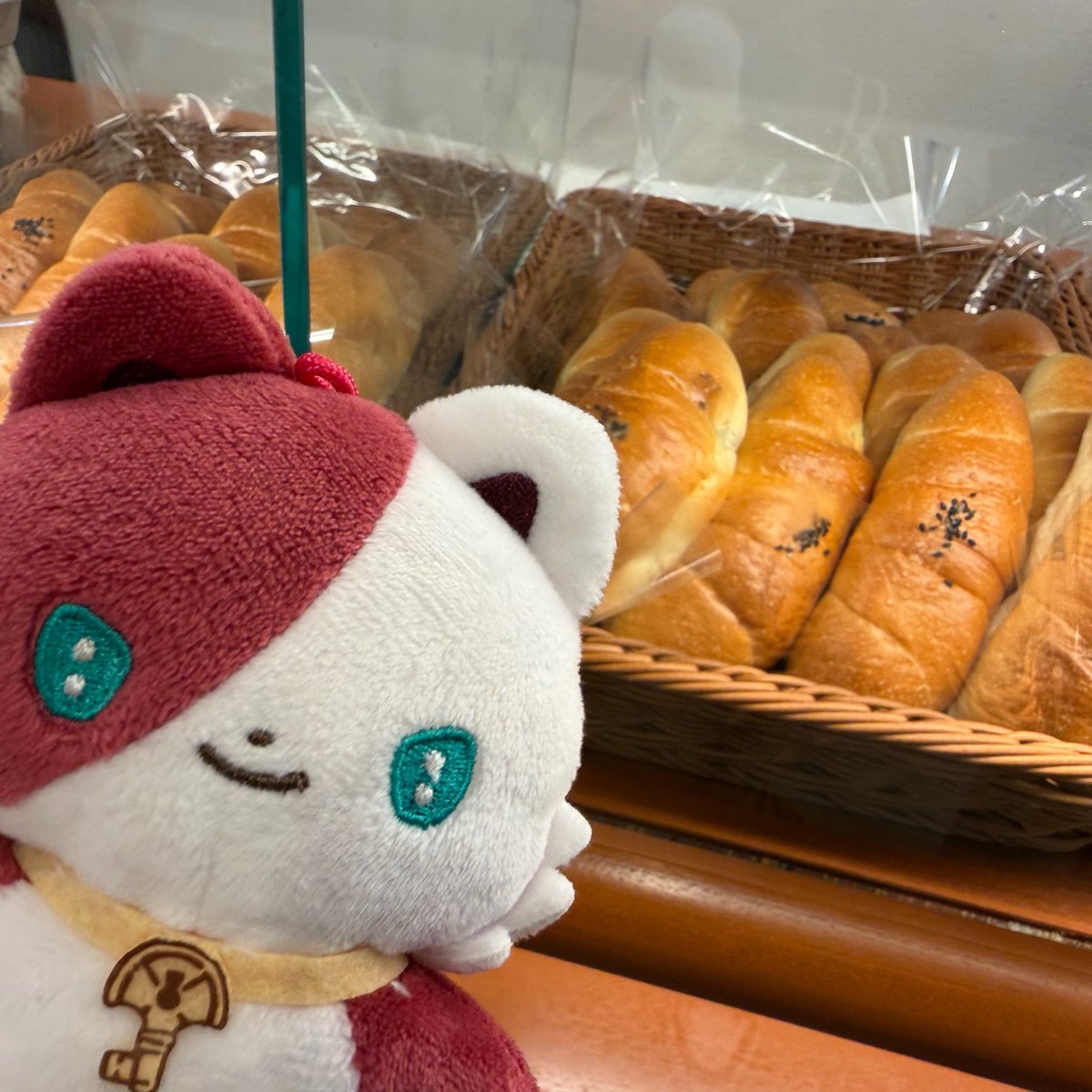 OE458N's tweet photo. https://t.co/kGYxeICFir