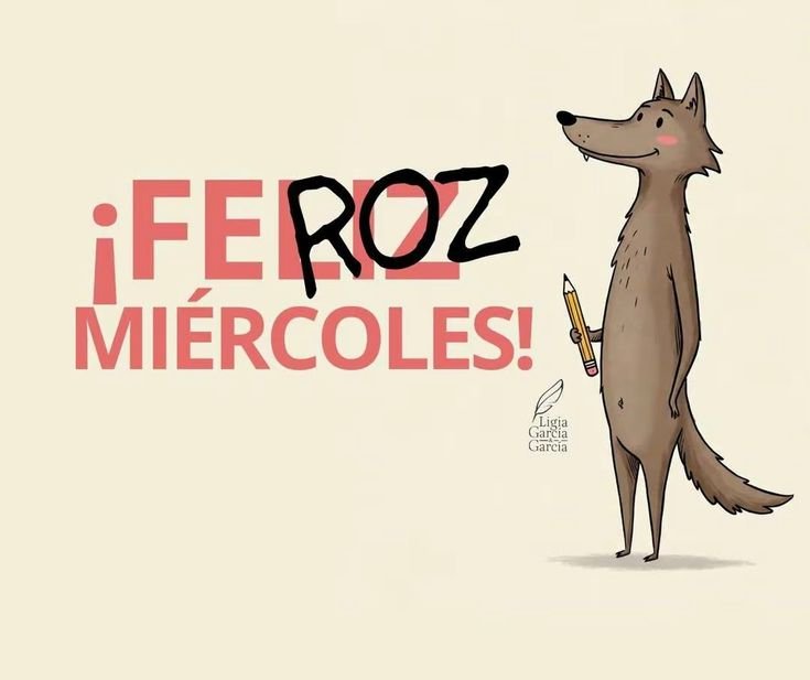 AlejandraN56289's tweet photo. #Feroz #Arrazando 🙏🏻❤️ https://t.co/Qx3aCwnsqB
