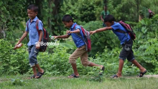 Botolota - বটোলতা tweet media
