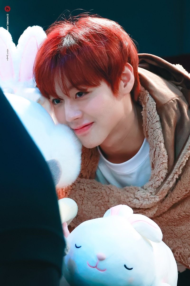 먕꼬🐰 tweet media