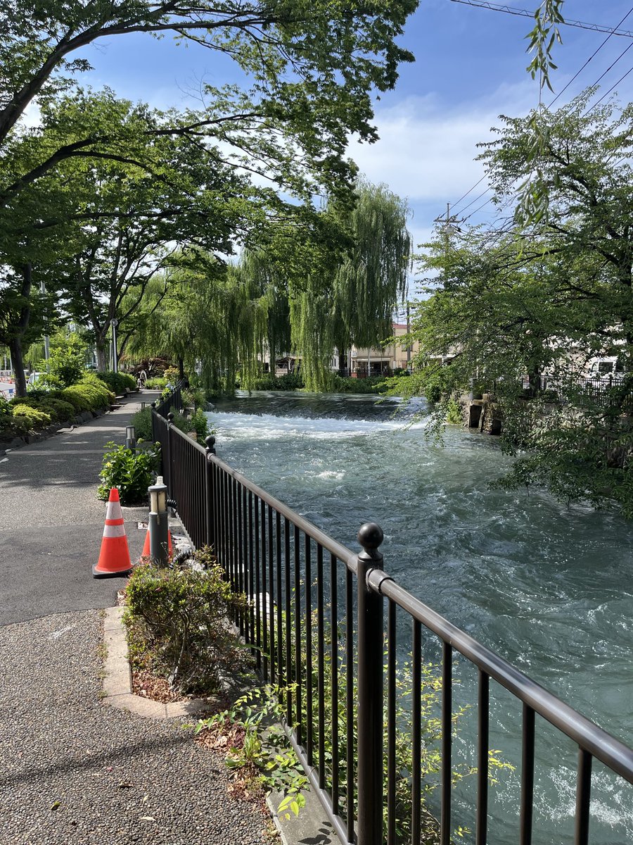 omohecce's tweet photo. 前橋へ散歩旅。暑かったが強風が心地良かった。日傘が何度もおちょこに。街のあちこちに朔太郎の詩を見かけたが古本屋がなかったのは残念。次来る時はバスに乗ってみたい。 https://t.co/cap0oajWuB