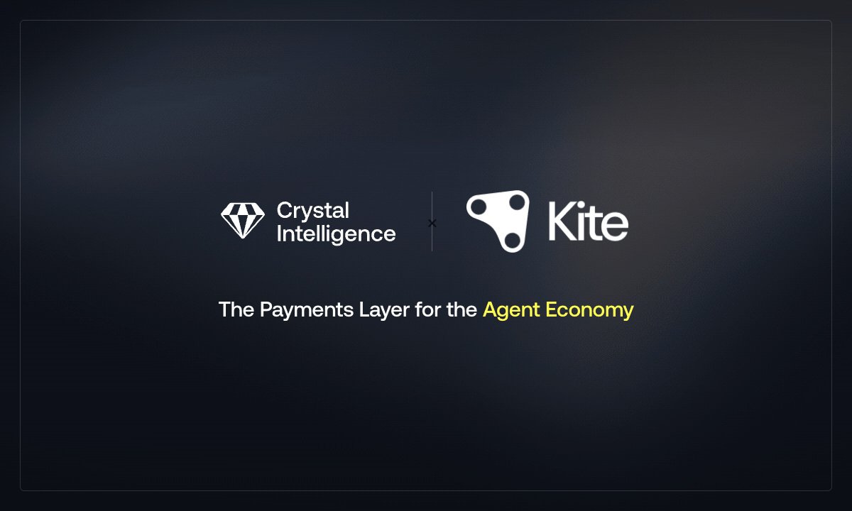 KITE AI tweet media