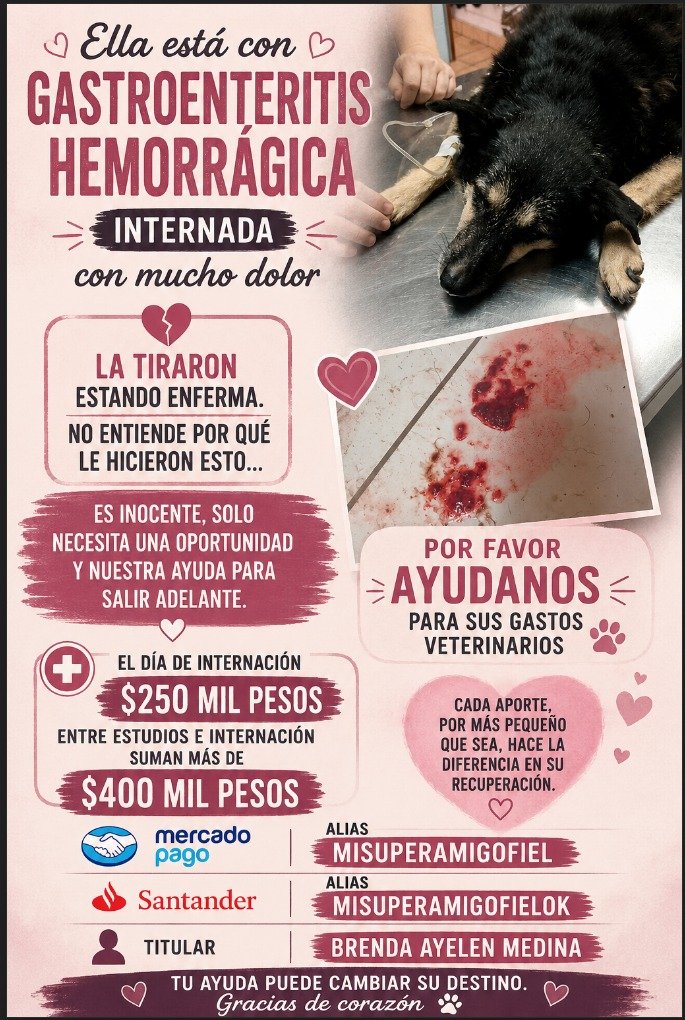 misuperamigo's tweet photo. https://t.co/LVS69yNWyo
5000

https://t.co/loGYrl6Eye
7000

https://t.co/fHQaSkJUzE
8000

https://t.co/hpypngn9i8 
10000

https://t.co/NL4qm8aLzC
15000
ALIAS MISUPERAMIGOFIEL 
BRENDA AYELEN MEDINA https://t.co/w0uebdqba5