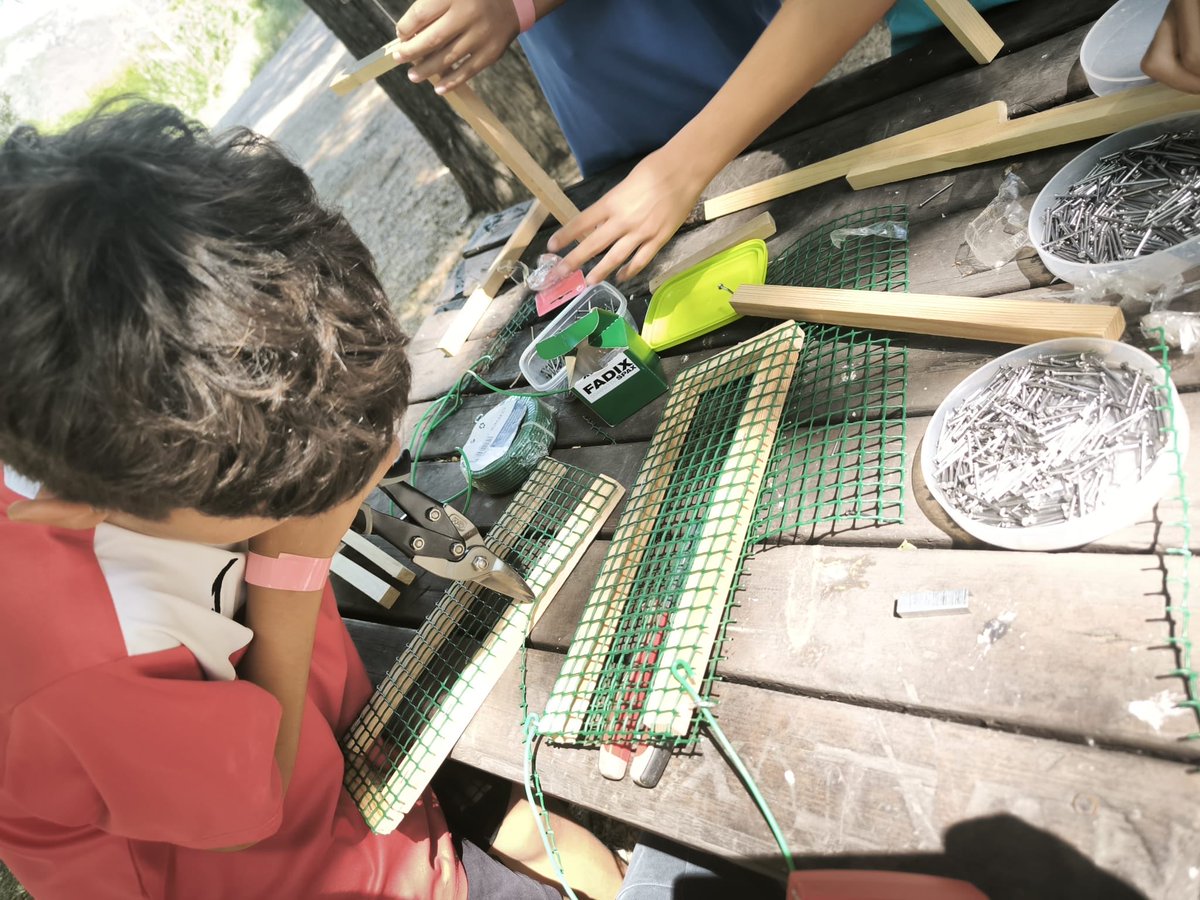 EscolaFlix's tweet photo. El nostre alumnat de sisè ha participat amb alumnat de l’Escola Lluís Viñas de Móra d’Ebre i de la ZER Ribera Nord. 
Una activitat per millorar la conservació dels espais naturals protegits de la Ribera d’Ebre. 🌱💚 https://t.co/jvzi9oO6q0