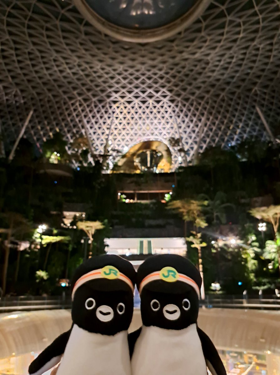 ekiinpen's tweet photo. フライトが2時間遅延トホホ🐧🥲🐧 https://t.co/0J42PfpBgl