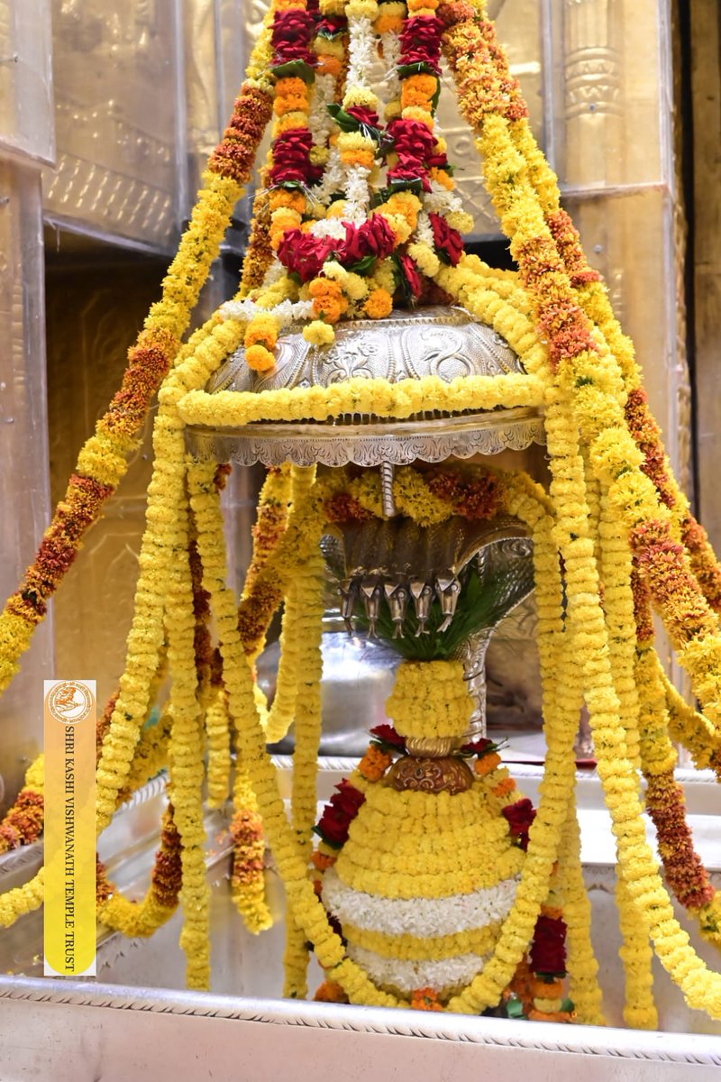 ShriVishwanath's tweet photo. श्री काशी विश्वनाथ जी की शयन आरती I
#kashivishwanath #kashi #hindu #sanatandharmaसनातन https://t.co/QMtBZcoxO5
