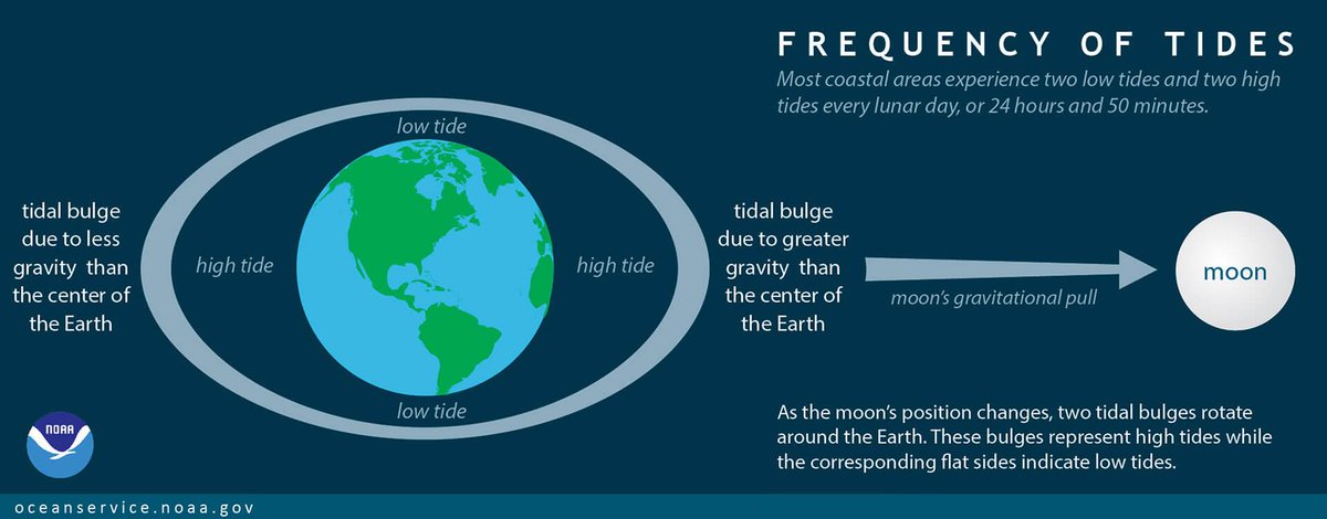 BrianBurmaster's tweet photo. Sir William Thomson [Lord Kelvin] was an aficionado of Isaac Newton and Thomson is buried alongside Newton in London 

As any scientifist knows, Isaac Newton discovered Gravity.  One earthly phenomenon is the Oceanic Tides.

Wm. Thomson invented a machine that could predict tides https://t.co/xiS1CwYXIq