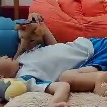 yukeji's tweet photo. ペットカメラ越しに見る世界

毎日末っ子と犬の
恋愛ドラマ見せられてる笑 https://t.co/kqnlB45AIl