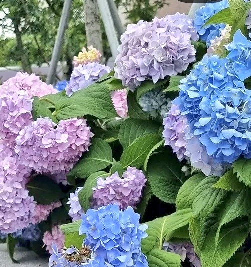 Tmlee525_129718's tweet photo. 투민 https://t.co/sf6H7PnHbf