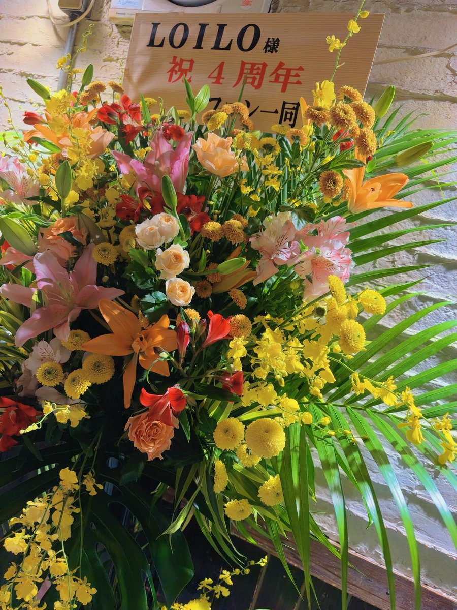 秘京 凛🎐🎻Violinist tweet media