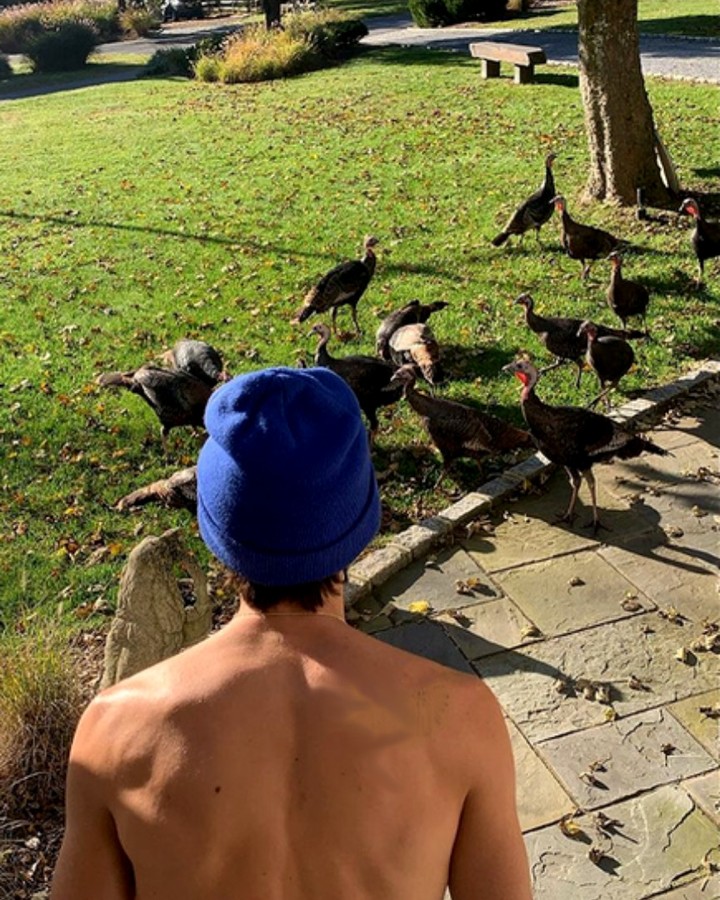 SalzAlan's tweet photo. Morning run! My run momentarily interrupted by wild turkeys! I did get a 6 mile run in in 41m:31s. Beautiful day. Perfect summer weather. Happy Midweek! 👍💯
#Running #MetSomeTurkeys #PerfectWeather #RunningFitness https://t.co/DBA74Qs2aR