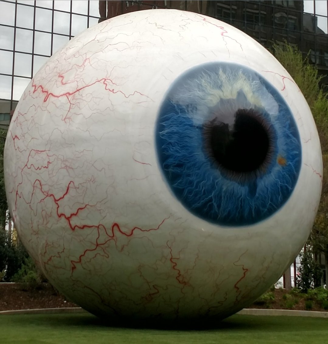 2wallyworld's tweet photo. @catturd2 Eye see what you did there. I found and eye for him https://t.co/eAFi0aaTQP