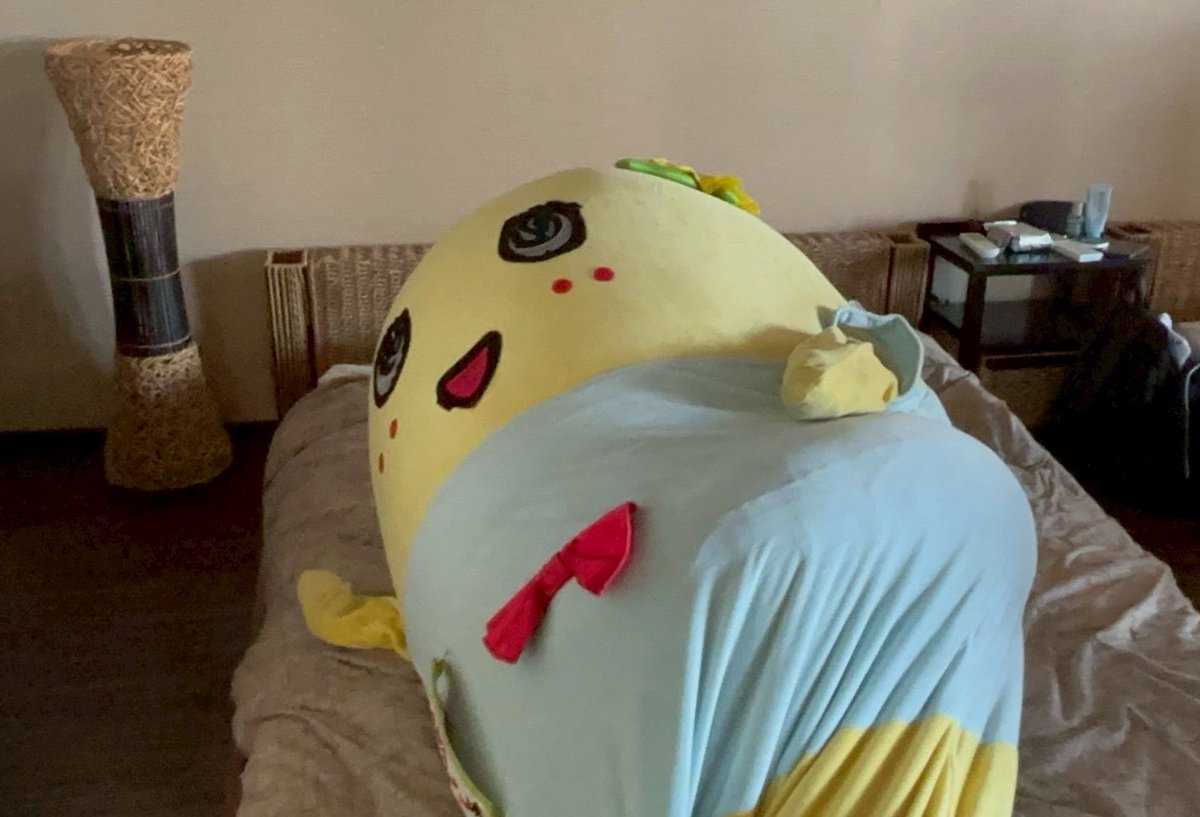 funassyi's tweet photo. みんなー今日も一日お疲れ様なっしー♪
ヾ(。゜▽゜)ノ二日連続のロケで疲れたので今夜ははぐっすりねむれぞぞzzz...
あすみょみんにゃいいことありゃすよおぉに
もにゃむにゃ https://t.co/i1bbYIl2WR