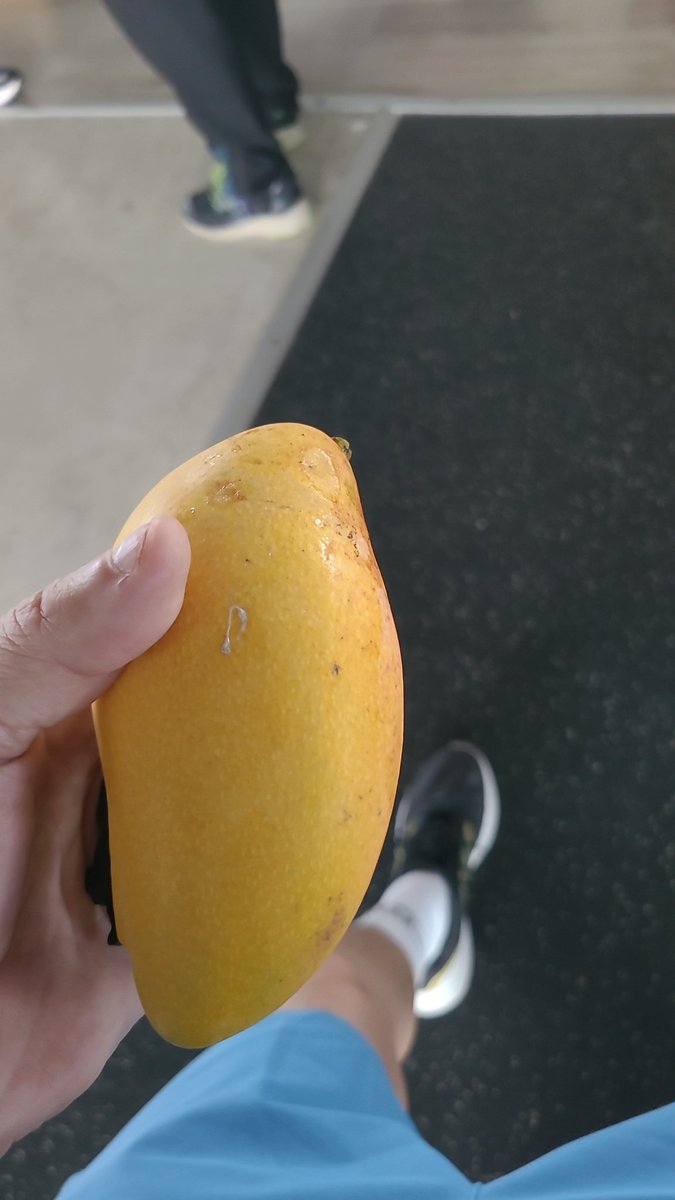 andreicisneros's tweet photo. Gracias al señor del gym por regalarnos un manguiro, después de ver que me urgía glucosa Jajajaja https://t.co/Xgwv7tlLAa