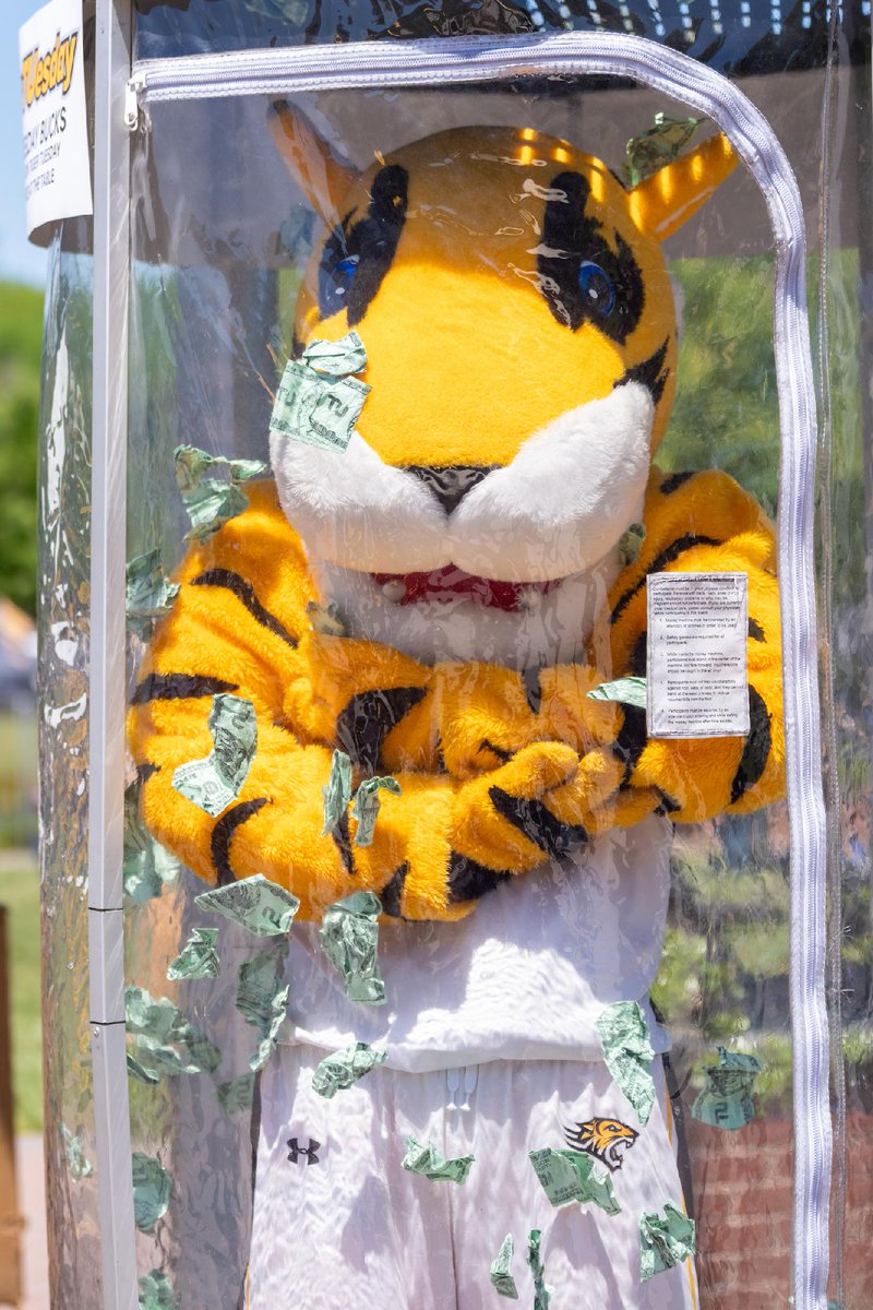 TowsonU's tweet photo. From crowd-pleaser to money-maker — join us in celebrating the kaleidoscope of experiences Doc brings to the TU community! #NationalMascotDay https://t.co/FIcyjrzFZq