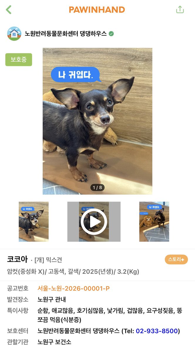 hoddok_life's tweet photo. 너어어어어무..... 호떡이 닮은 아기😭 언능 가족찾자!!!!! https://t.co/oZxE9GBfxF