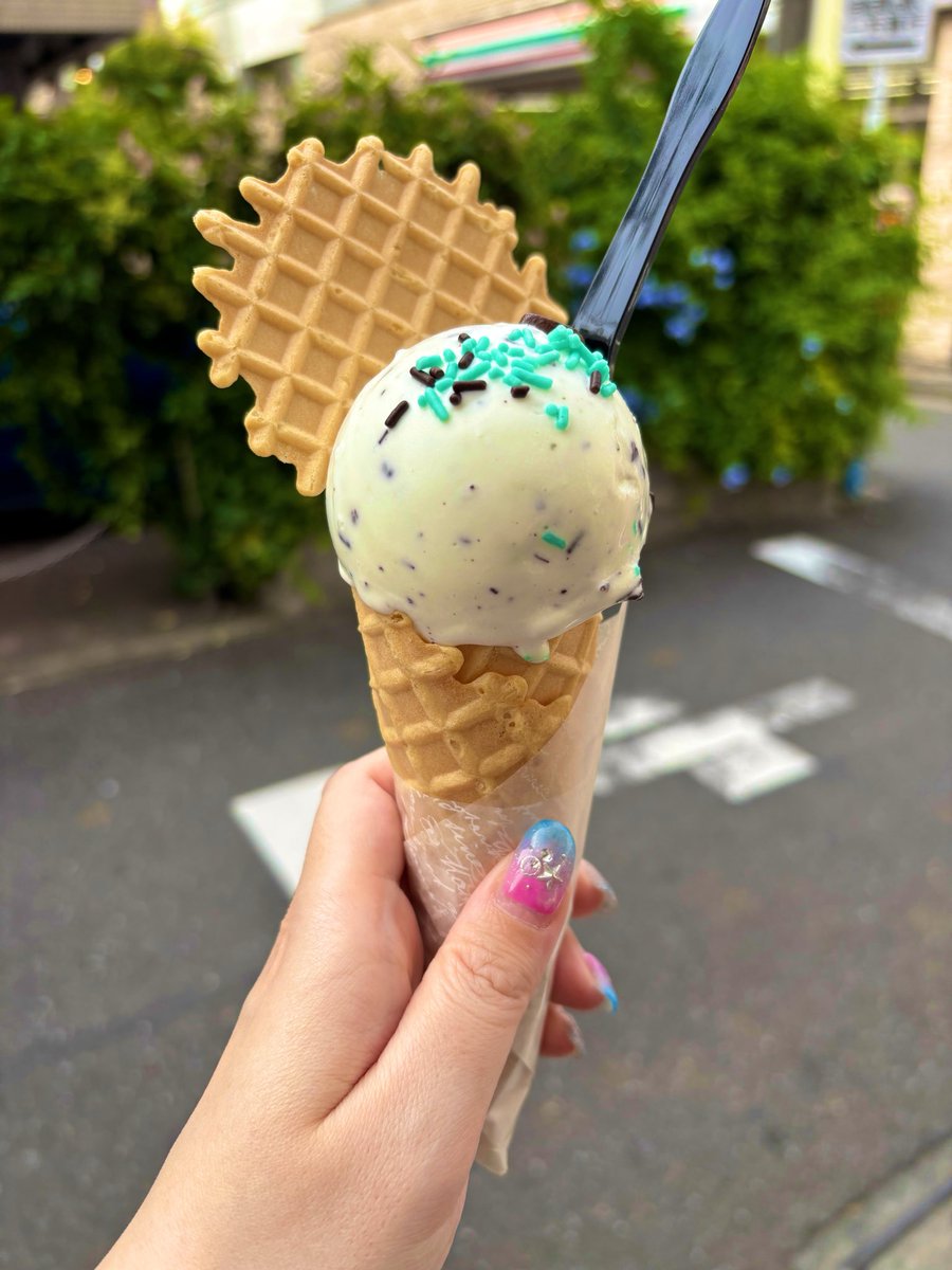 rairariar's tweet photo. きょーはバランスのとれたお食事をチョコミントジェラートで崩していくスタイル〜🫰🫰 https://t.co/DNOseqgW3C