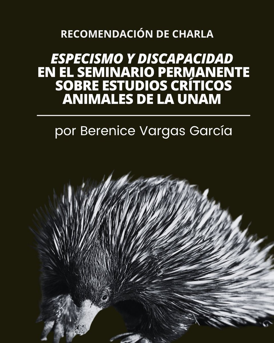 LecaRevista's tweet photo. 🎥 Recomendamos esta charla del Seminario Permanente sobre Estudios Críticos Animales de la UNAM intitulada “Especismo y discapacidad” | por Berenice Vargas García https://t.co/rEWpw0SZyy https://t.co/fBqacuG8tK