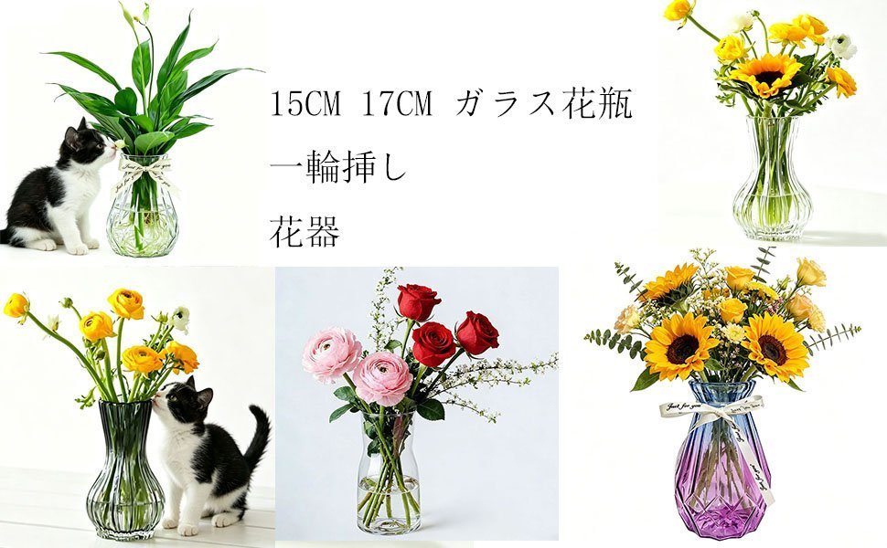 Kahoufuku's tweet photo. ♥皆様に感謝♥　＃999円
#愛出ずる者は愛返り福往く者は福来たる！
 いつも拡散ありがとうございます！  
#低価格で販売中です。  
本日はありがとうございました。
  明日もよろしくお願い致します。  
#拡散希望ＲPご協力お願い致します https://t.co/2qIHBqhpkd https://t.co/dvgZuYR5pi