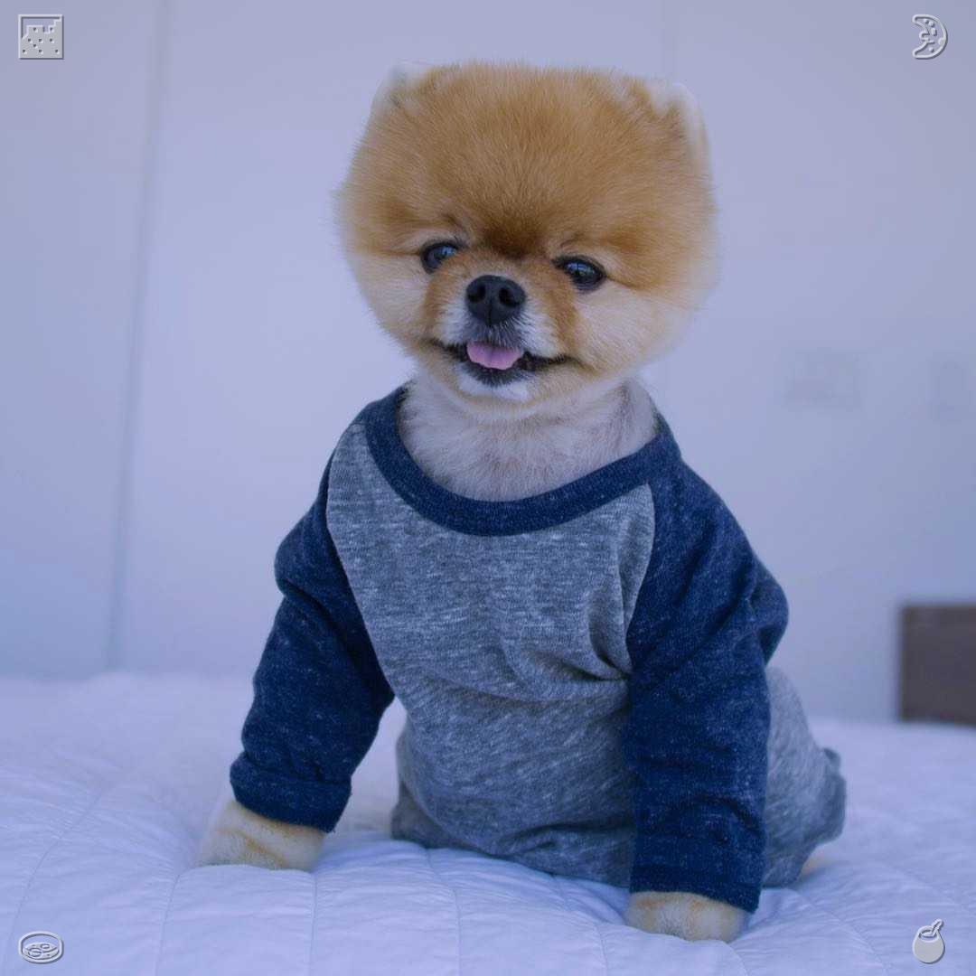 johnnyvs3's tweet photo. 想到浴室里的那面镜子，它多年来始终映照着我的身影，我意识到她是正确的。镜子不仅展示了我破碎的一面，更展现了我依然完整的部分，以及那些值得��争取的东西。 https://t.co/BylpL0Zv9k