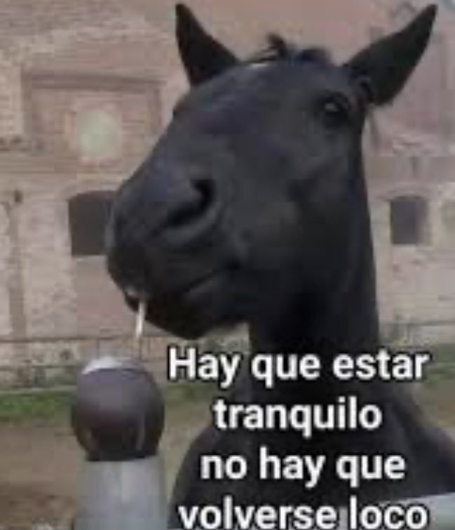 memes_una's tweet photo. Luego de leer la primera pregunta del parcial https://t.co/zv837SKluh