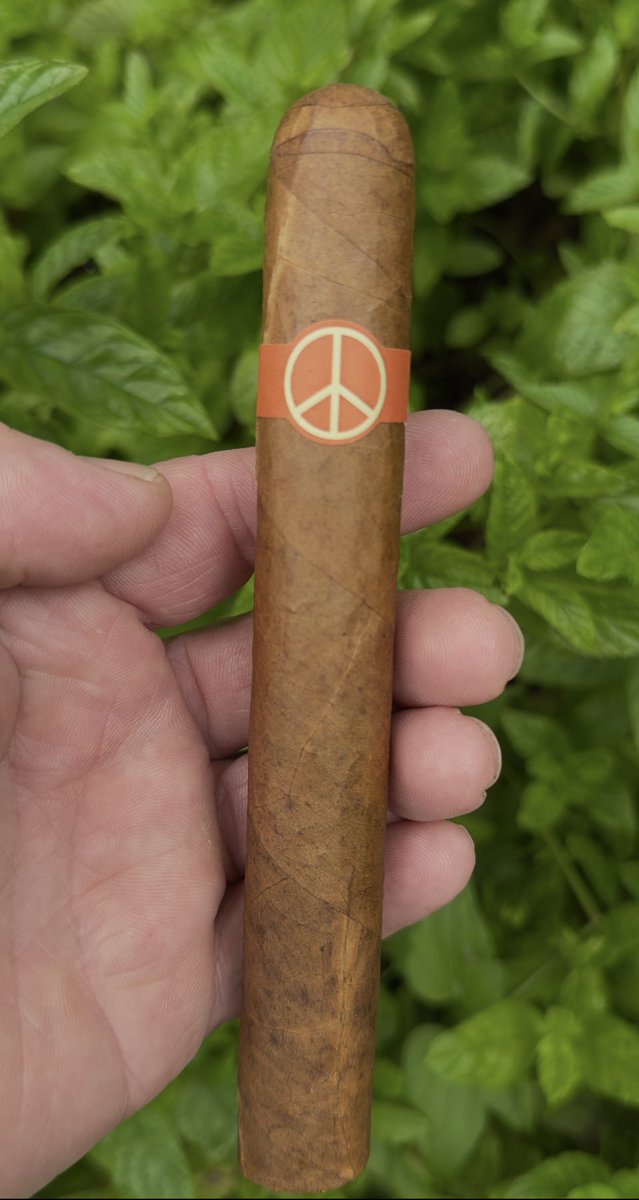 Cigaro556's tweet photo. ☮️ Hump Day sorted.

Nothing beats riding the midweek wave with an Illusione OneOff and that perfect peace band. Smooth, earthy, and zero drama — just the way Wednesdays should be.

Who else is lighting up to get over the hump?

#CigarLife #Illusione #OneOff #HumpDay #CigarsOfX https://t.co/bQvXu7IXIo