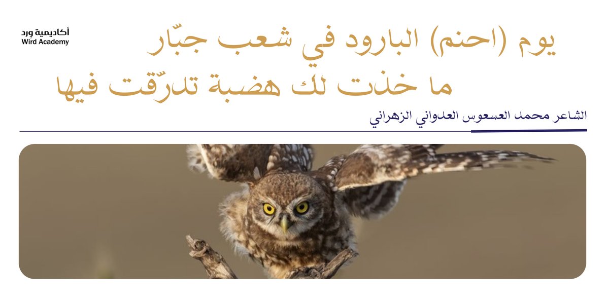 Wird Academy | أكاديمية وِرد tweet media