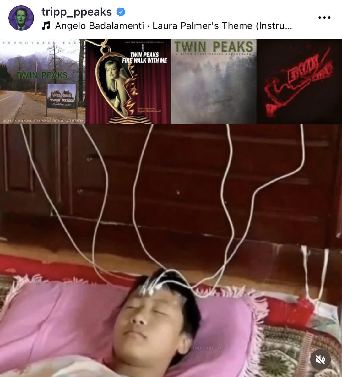 David Lynch's Worlds tweet media