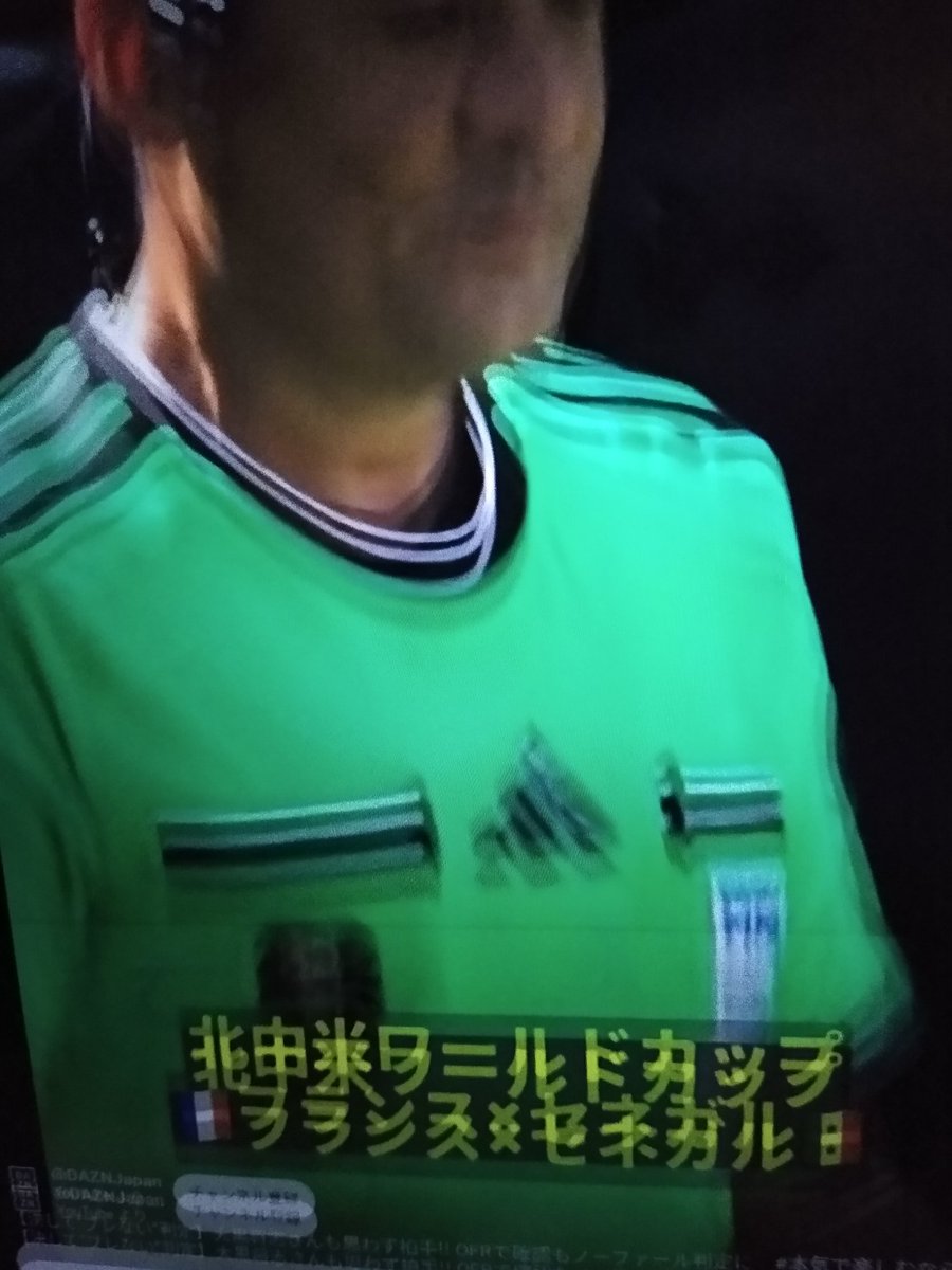 ei_hito's tweet photo. こんなことある？タブレットが壊れて映像が二重になる。今、まさに右目がこんなふうに縦にブレて見えてる。タブレットにわいの症状が移った。 https://t.co/cx67lIqAN0